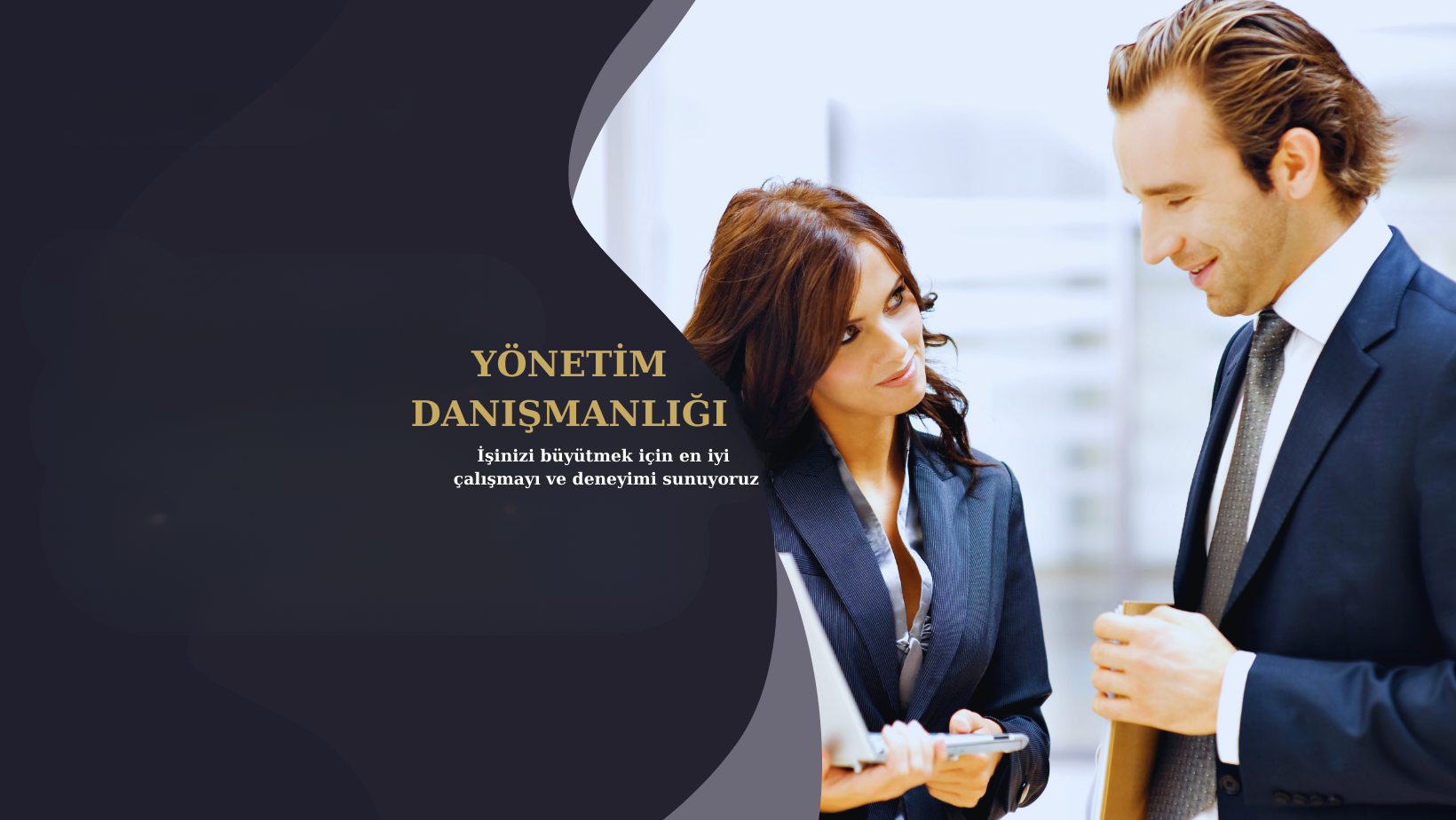 Yönetim Danışmanlığı
